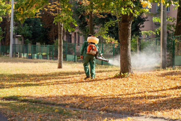 Best Emergency Pest Control  in Mapleton, IA